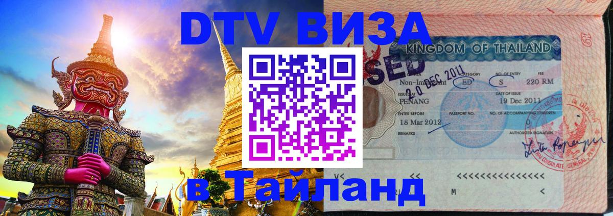 Оформление DTV визы под ключ: стоимость и тарифы, только загранпаспорт - Калининград  20.11.2025 